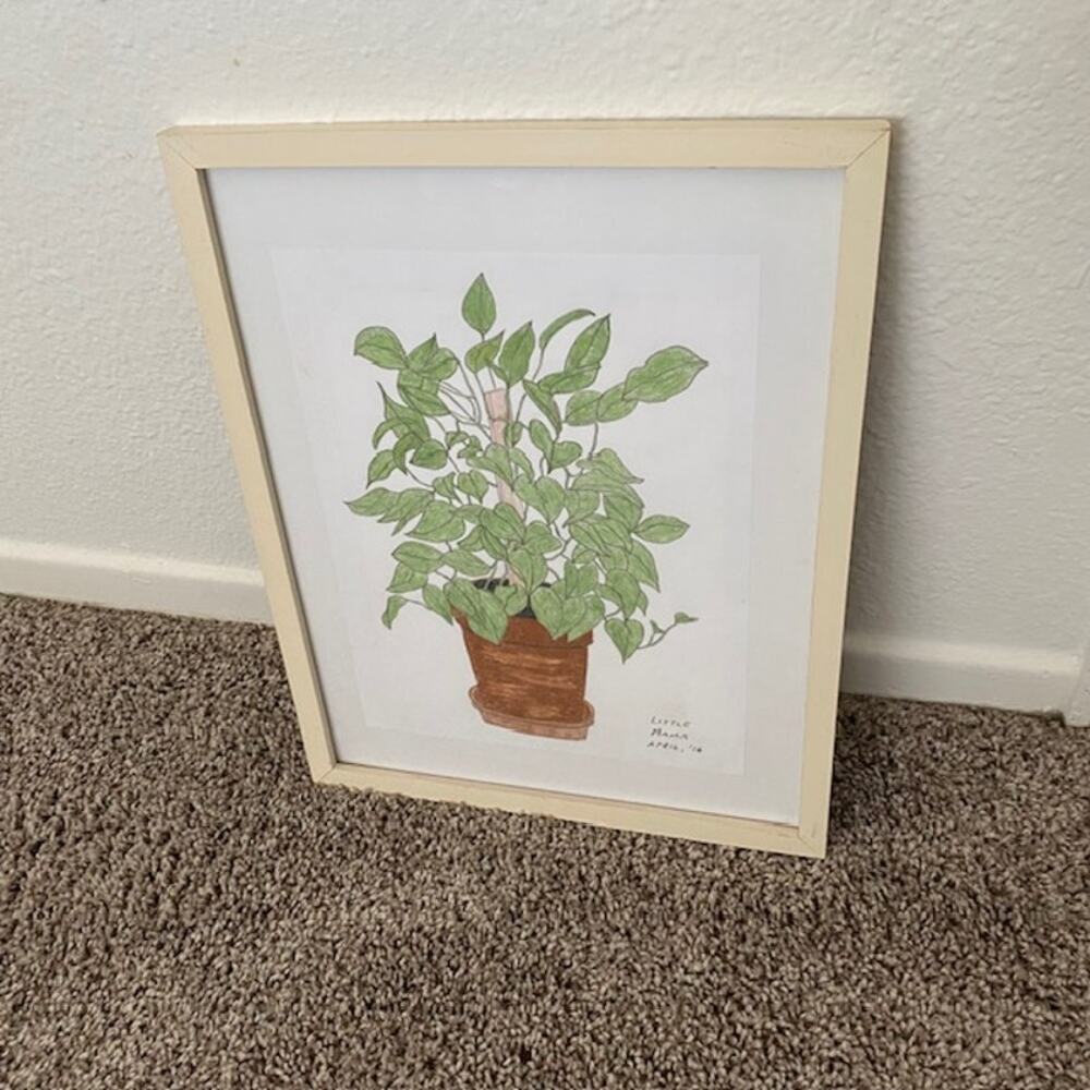Original Art Philodendron "Little Mama" April‎ 2016 Pencil Drawing Framed - Picture 2 of 10